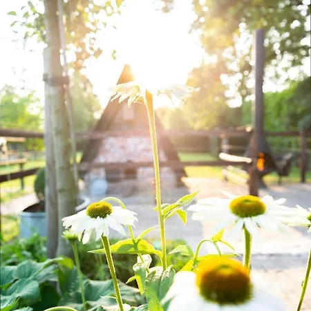 Oda ve Kahvaltı Puur8a Duizel