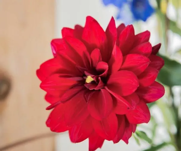 Puur8a לינה וארוחת בוקר Duizel