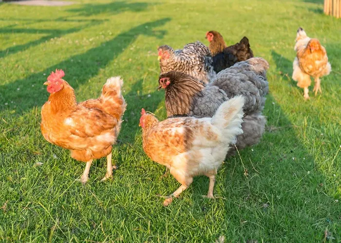 Puur8a לינה וארוחת בוקר 3*