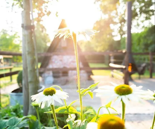 Bed & Breakfast Puur8a Duizel